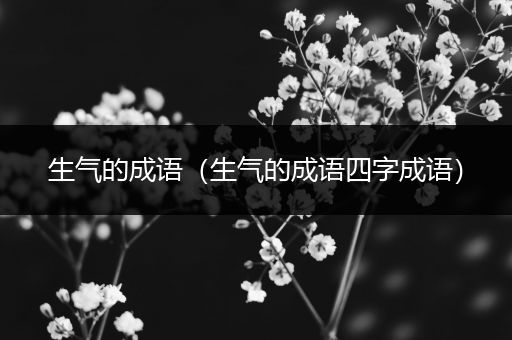 生气的成语（生气的成语四字成语）