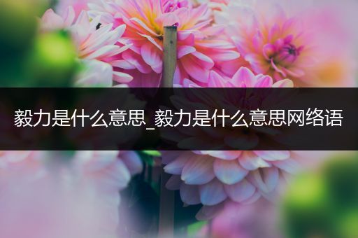 毅力是什么意思_毅力是什么意思网络语