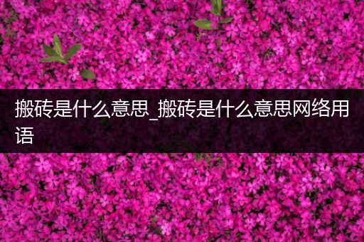 搬砖是什么意思_搬砖是什么意思网络用语