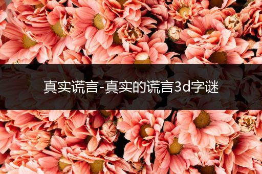 真实谎言-真实的谎言3d字谜