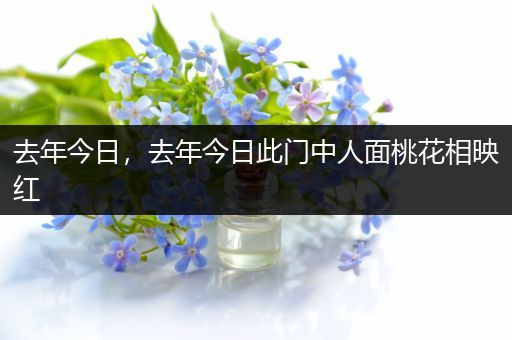去年今日，去年今日此门中人面桃花相映红