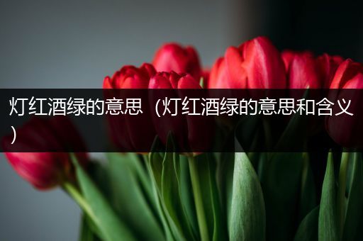 灯红酒绿的意思（灯红酒绿的意思和含义）