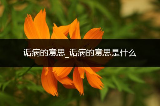 诟病的意思_诟病的意思是什么