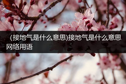 （接地气是什么意思)接地气是什么意思网络用语