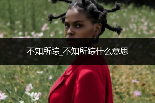 不知所踪_不知所踪什么意思