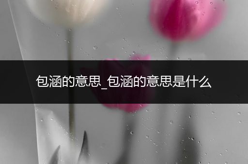 包涵的意思_包涵的意思是什么
