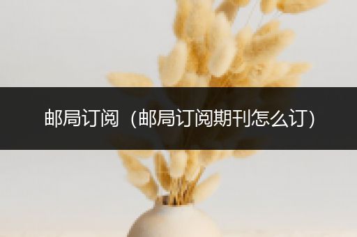 邮局订阅（邮局订阅期刊怎么订）