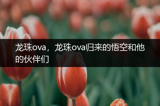 龙珠ova，龙珠ova归来的悟空和他的伙伴们