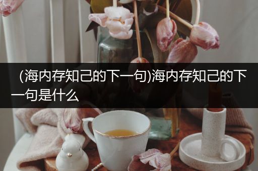 （海内存知己的下一句)海内存知己的下一句是什么