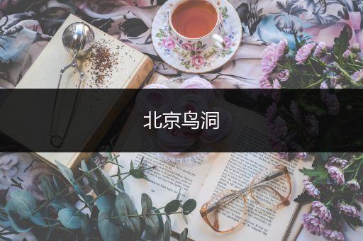 北京鸟洞