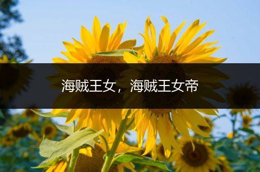 海贼王女，海贼王女帝
