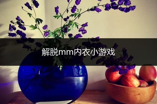解脱mm内衣小游戏