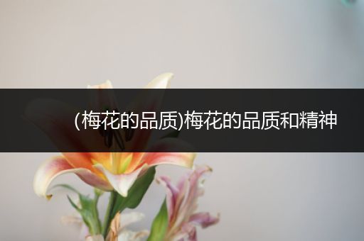 （梅花的品质)梅花的品质和精神