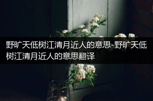 野旷天低树江清月近人的意思-野旷天低树江清月近人的意思翻译