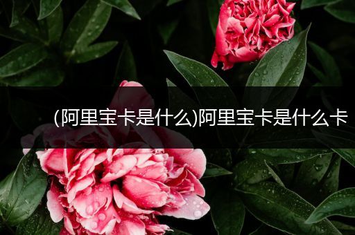 （阿里宝卡是什么)阿里宝卡是什么卡