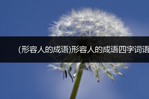 （形容人的成语)形容人的成语四字词语