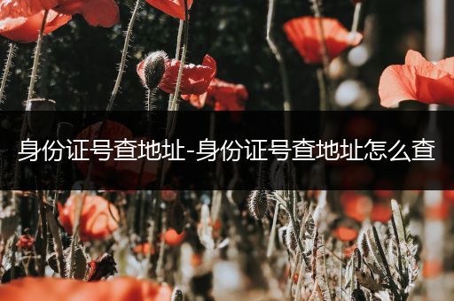身份证号查地址-身份证号查地址怎么查