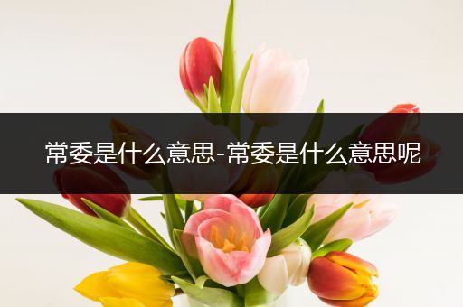 常委是什么意思-常委是什么意思呢