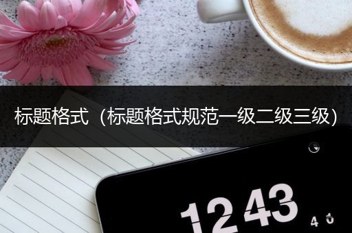 标题格式（标题格式规范一级二级三级）