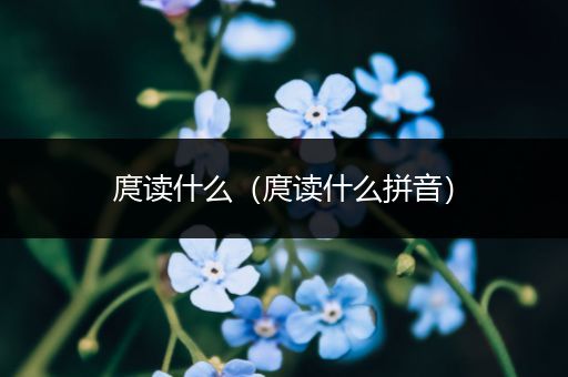 庹读什么（庹读什么拼音）