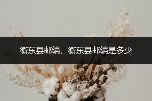 衡东县邮编，衡东县邮编是多少