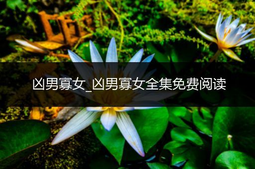 凶男寡女_凶男寡女全集免费阅读