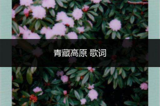青藏高原 歌词