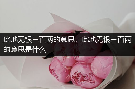 此地无银三百两的意思，此地无银三百两的意思是什么