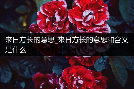来日方长的意思_来日方长的意思和含义是什么