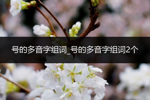 号的多音字组词_号的多音字组词2个