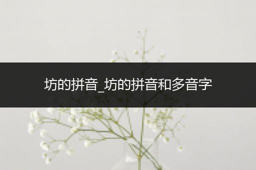 坊的拼音_坊的拼音和多音字