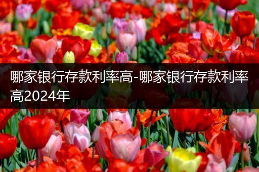 哪家银行存款利率高-哪家银行存款利率高2024年