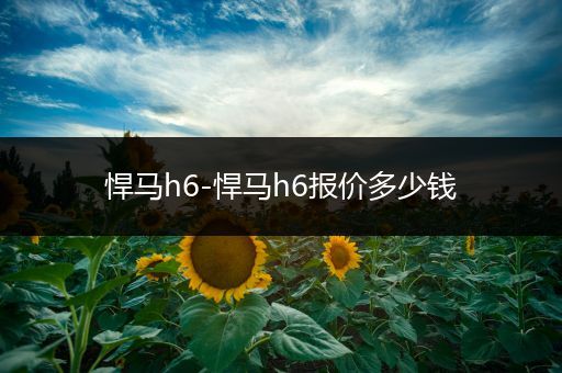 悍马h6-悍马h6报价多少钱