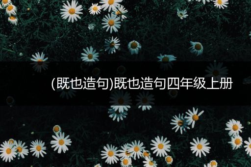 （既也造句)既也造句四年级上册