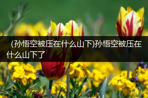 （孙悟空被压在什么山下)孙悟空被压在什么山下了