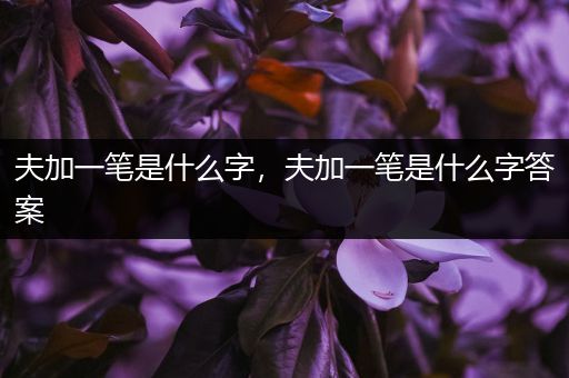 夫加一笔是什么字，夫加一笔是什么字答案
