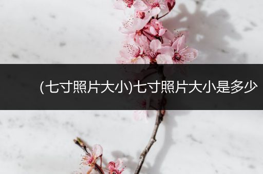 （七寸照片大小)七寸照片大小是多少