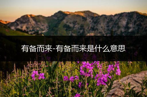 有备而来-有备而来是什么意思