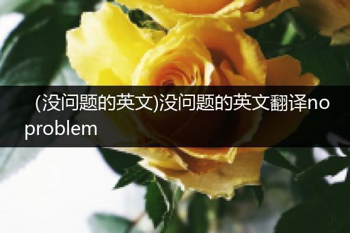 （没问题的英文)没问题的英文翻译noproblem