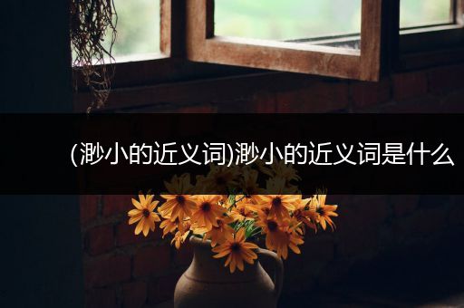 （渺小的近义词)渺小的近义词是什么