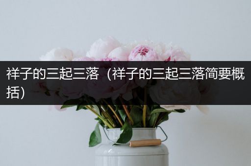 祥子的三起三落（祥子的三起三落简要概括）