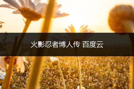 火影忍者博人传 百度云