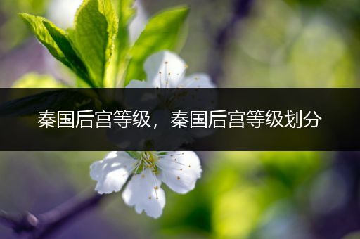 秦国后宫等级，秦国后宫等级划分