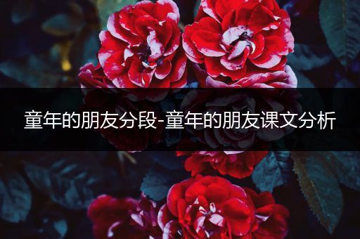 童年的朋友分段-童年的朋友课文分析