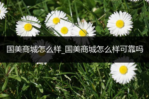 国美商城怎么样_国美商城怎么样可靠吗