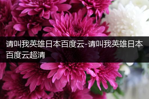 请叫我英雄日本百度云-请叫我英雄日本百度云超清