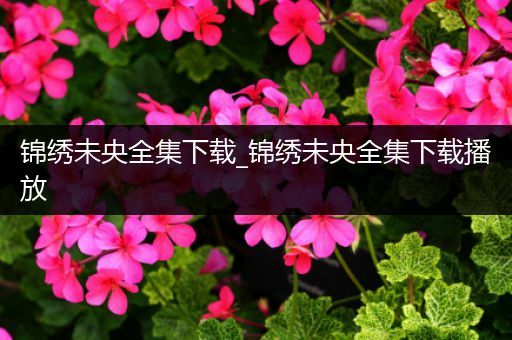 锦绣未央全集下载_锦绣未央全集下载播放