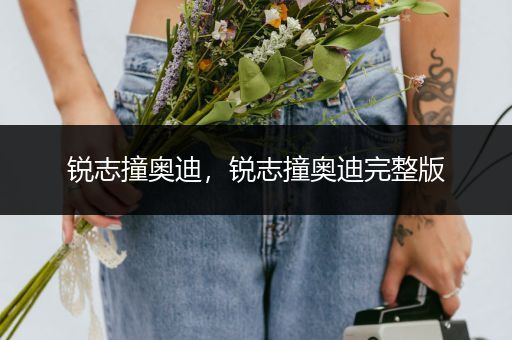 锐志撞奥迪，锐志撞奥迪完整版