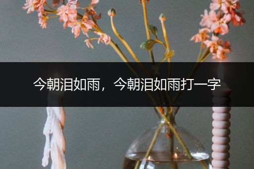 今朝泪如雨，今朝泪如雨打一字