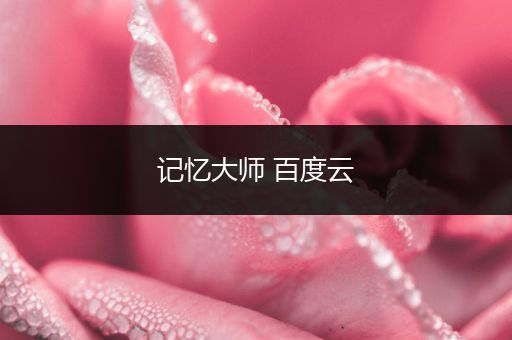 记忆大师 百度云